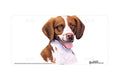"Brittany Spaniel" - Decorative License Plate