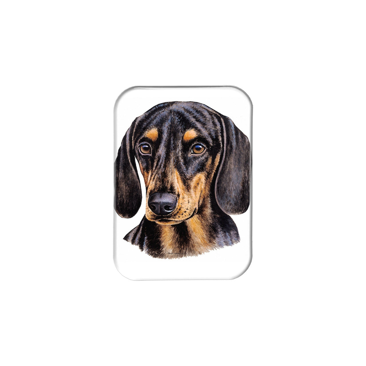 "Black and Tan Dachshund" - 2.5" X 3.5" Rectangle Fridge Magnets