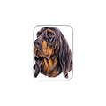 "Black and Tan Coonhound" - 2.5" X 3.5" Rectangle Fridge Magnets