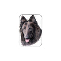 "Belgian Sheepdog" - 2.5" X 3.5" Rectangle Fridge Magnets