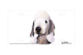 "Bedlington Terrier" - Decorative License Plate