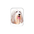 "Bearded Collie" - 2.5" X 3.5" Rectangle Fridge Magnets