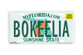 "Florida State Bokeelia" - Decorative License Plate