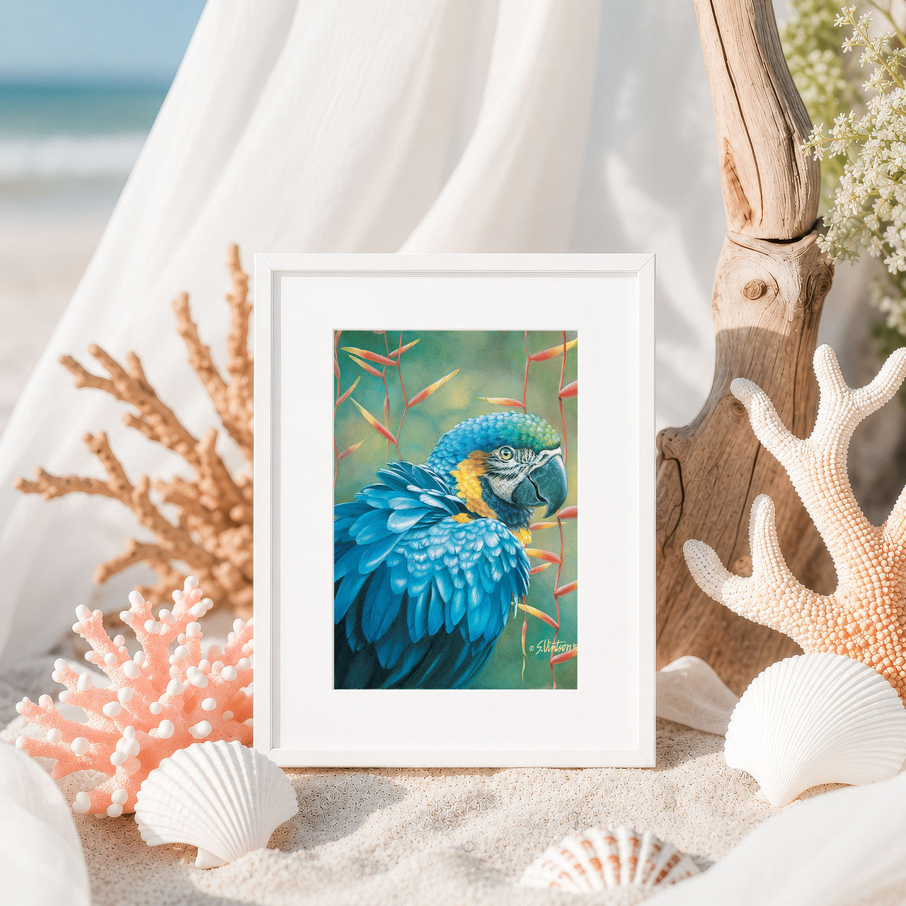 Blue Macaw – Matted Art Print
