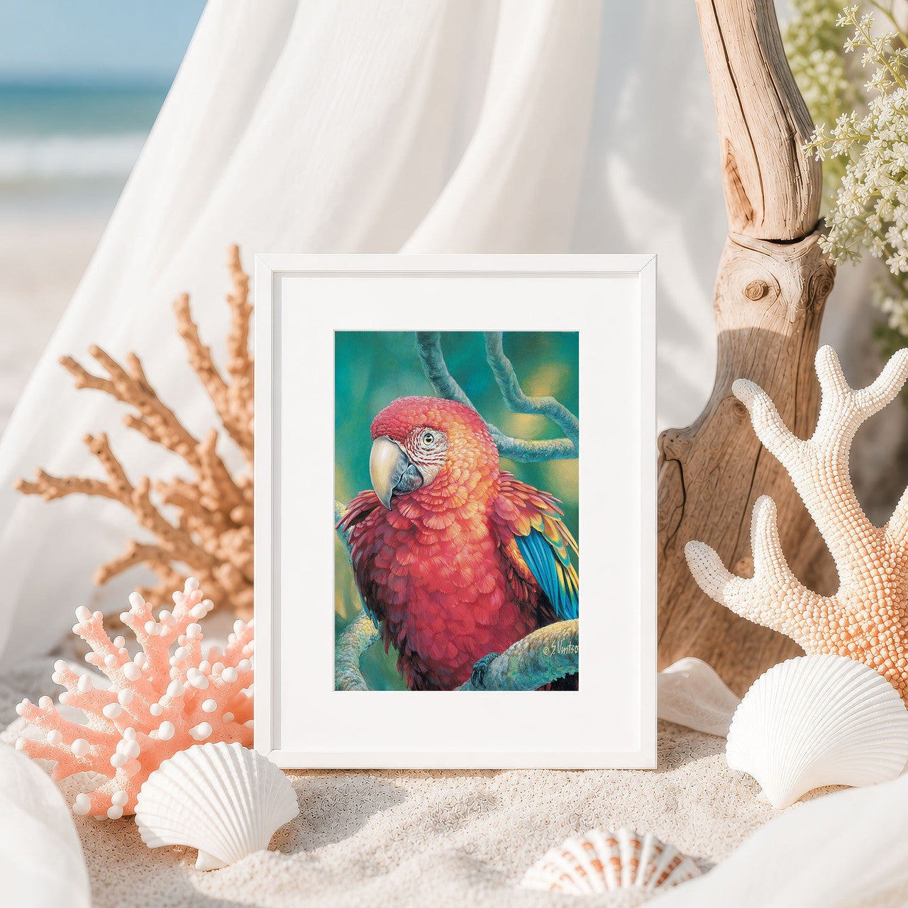 Red Macaw – Matted Art Print