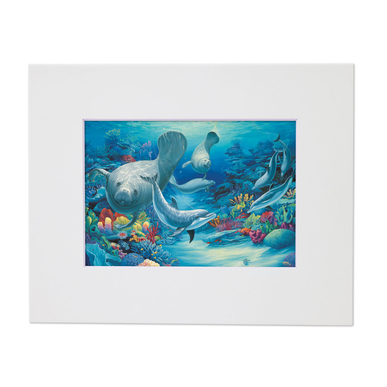 Close Encounter – Matted Art Print