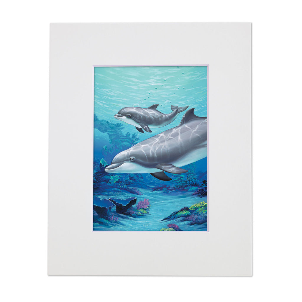 Dolphin and Baby – Matted Art Print