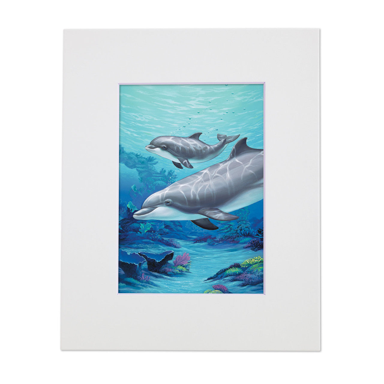 Dolphin and Baby – Matted Art Print