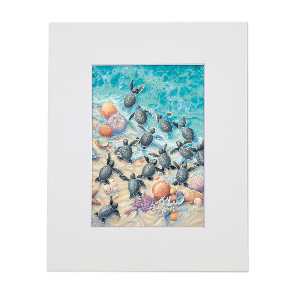 Green Turtle Hatchlings – Matted Art Print