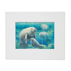 Manatee Sanctuary – Matted Art Print