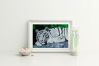 Baby Blues – White Tiger Matted Art Print