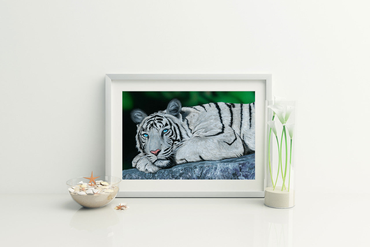 Baby Blues – White Tiger Matted Art Print