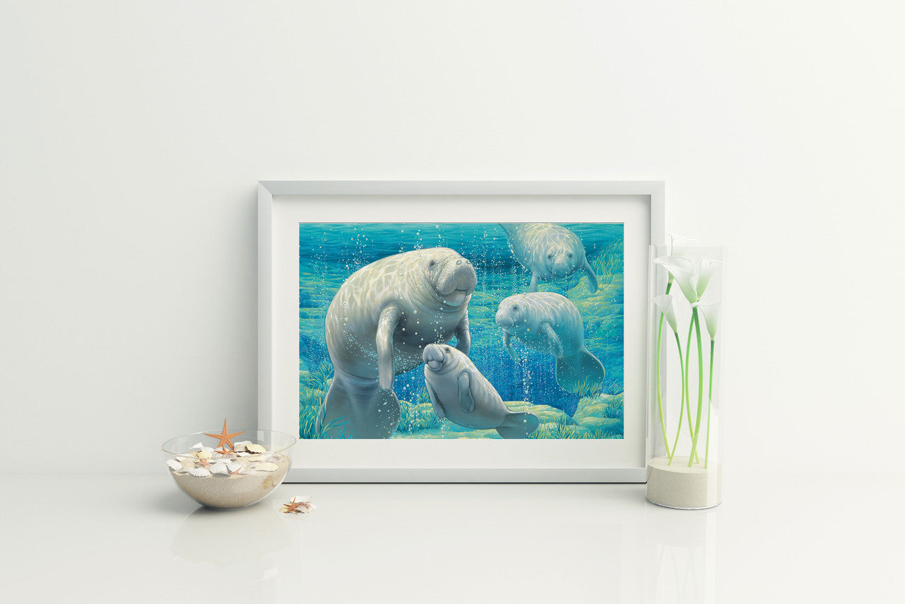 Manatee Sanctuary – Matted Art Print