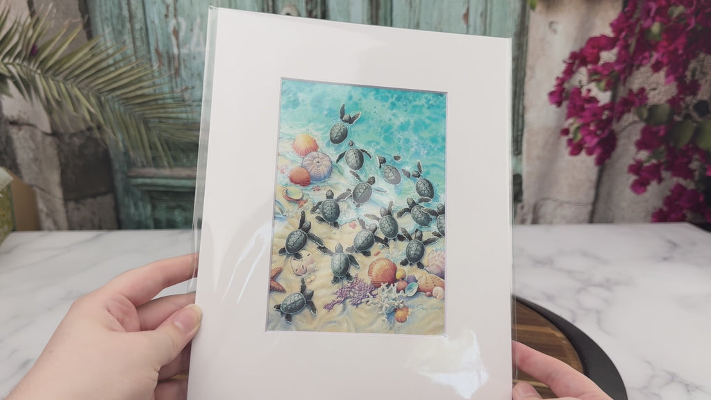Green Turtle Hatchlings – Matted Art Print